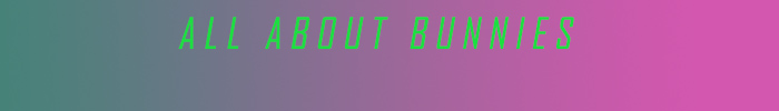All About Bunnies